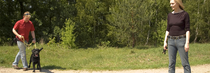 DogCoach Hundetraining