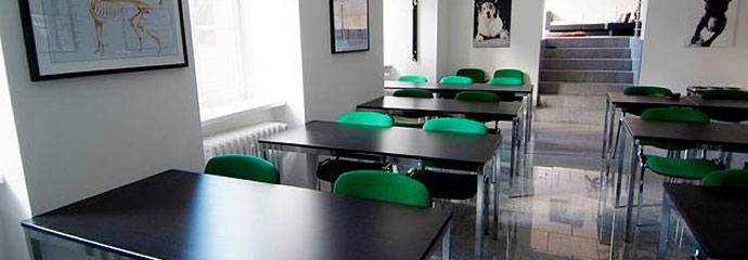 DogCoach Institut, Copyright Foto: Augen-Blick Photographie - Manja Elsässer DogCoach Institut Bildungseinrichtung