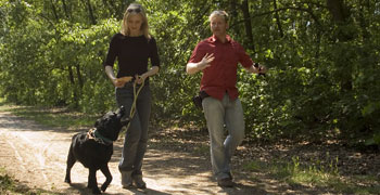Ausbildung zum Hundetherapeut
